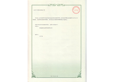 一(yi)種用(yong)于環(huan)模制(zhi)粒機(ji)的減(jian)震裝(zhuang)置反(fan)面