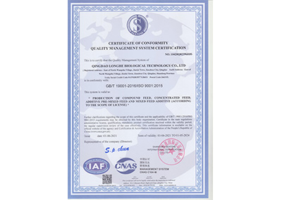 質量(liang)管理(li)體系(xi)認證(zheng)證書(shu)-英文(wen)